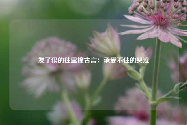 发了狠的往里撞古言：承受不住的哭泣