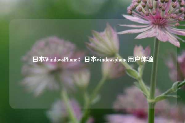 日本WindowsPhone：日本windowsphone用户体验